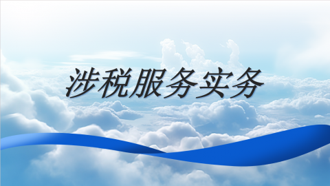 涉税服务实务 